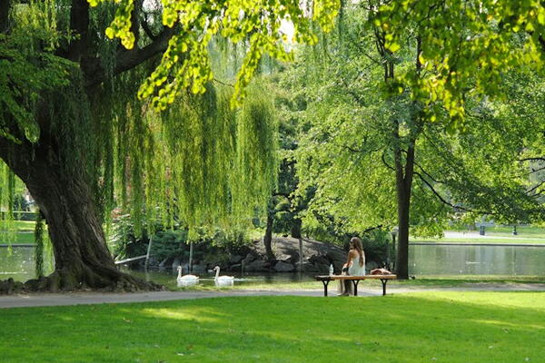 City park