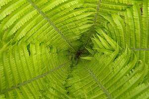 Photo Credit: Dr Thomas Gernon, University of Southampton