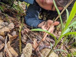 Hannah Moran-MacDonald