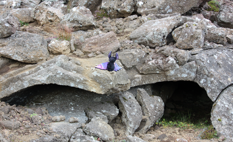 Geophysics & Geodesy Lab Mascot “e” travels the world with students on their field and research excursions. Seen here at Fagradalsfjall, Iceland, discovering its personal lava tube.