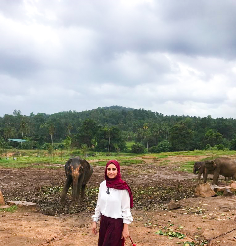 Ruqaiya in front of elephants