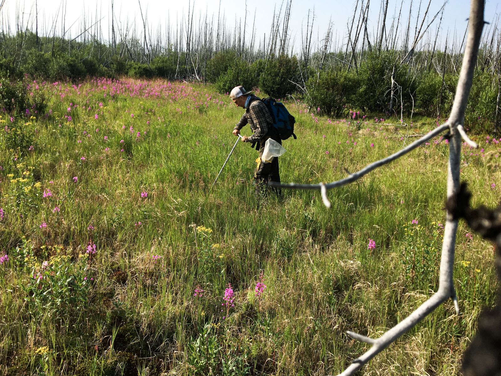 Matt using field equpiment