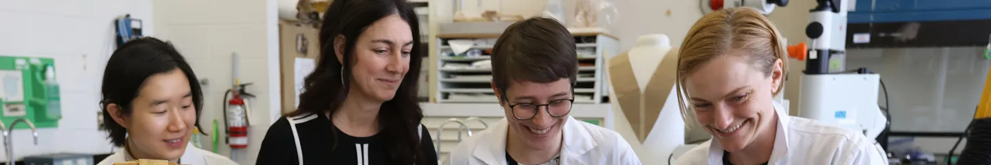 Photo of a group of students working on small projects