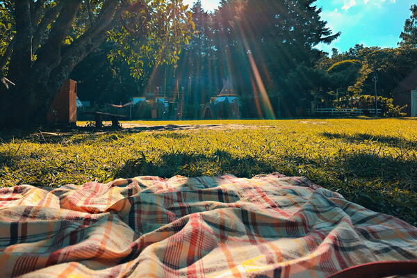 Picnic blanket over grass area