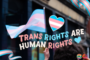 Trans Rights are Human Rights graphic