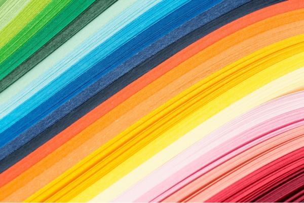 Gender Studies Gift Fund