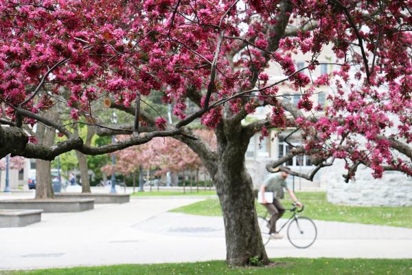 Minor in Gender Studies