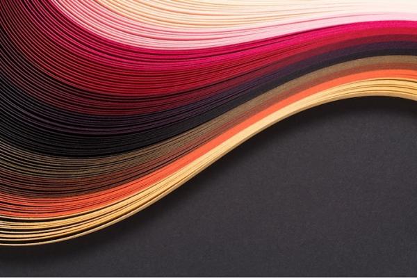 Support Black Studies