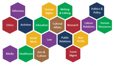 Honeycomb shapes displaying career possibilities. The potential careers are listed in the text below.