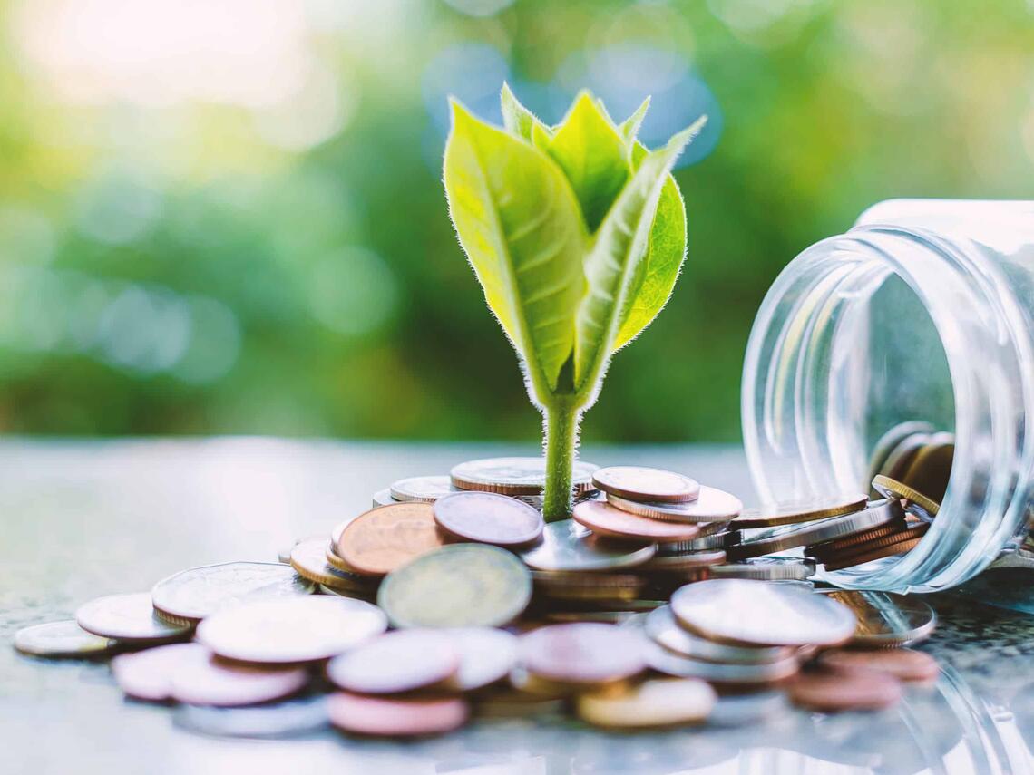 Young green plant sprouting from a pile of coins spilled from a glass jar