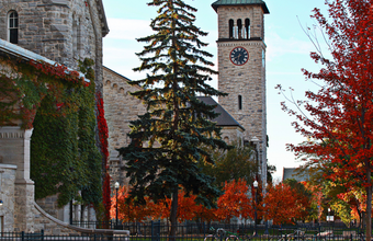 Buildings and trees.
