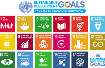 Grid of 17 colourful square icons representing the United Nations Sustainable Development Goals, labeled from 1 to 17 with titles such as No Poverty, Quality Education, Climate Action and Partnerships for the Goals, beneath the heading ‘Sustainable Development Goals