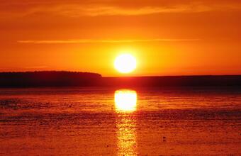 Finishing Your Degree