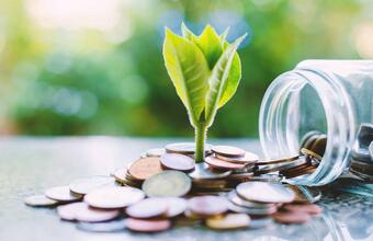 Young green plant sprouting from a pile of coins spilled from a glass jar