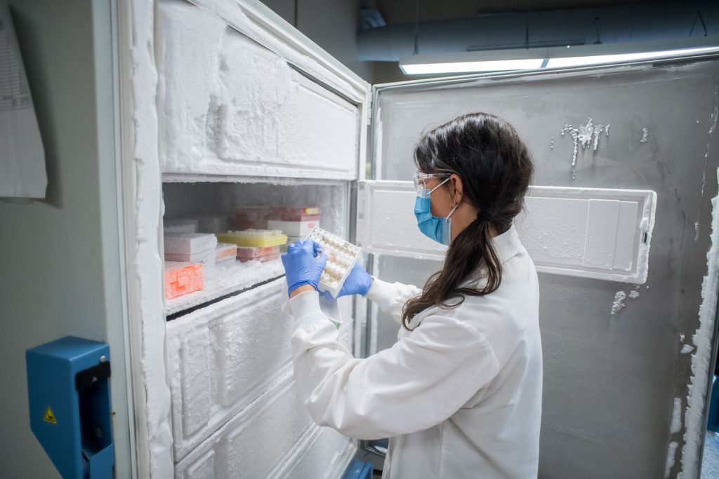 Centre for Health Innovation Facilities