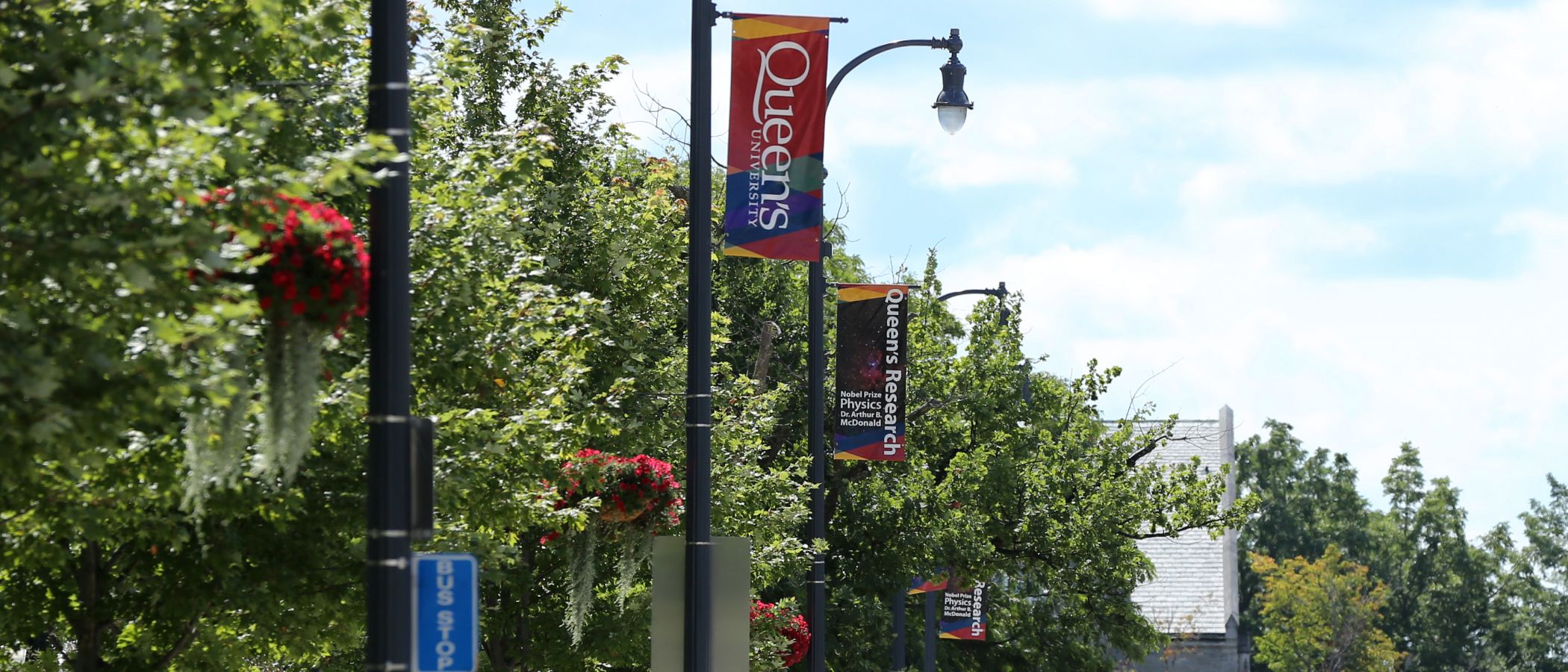 Image of Queen's Campus in the summer with vertical banners attached to lamp posts that read "Queen's research"
