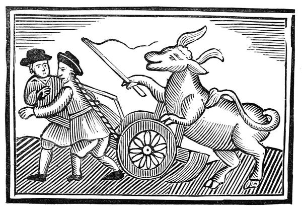 Image of Animals and History