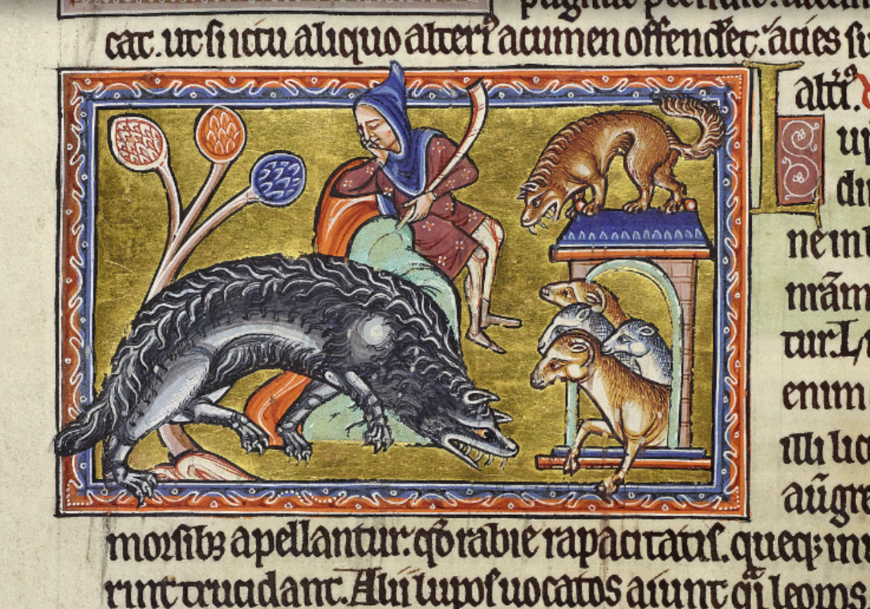 A manuscript page featuring a sleeping shepherd and a wolves approaching the flock of sheep