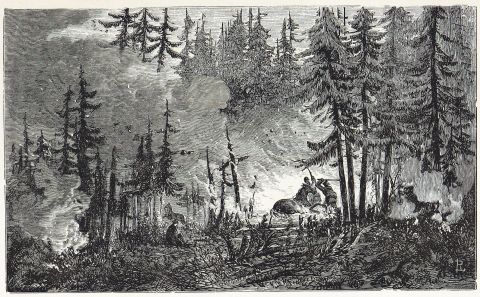 Image of black and white artwork showing a large forest fire