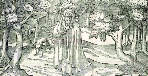 Perils and Promises of Mobility and Mutation: The Government of Vagrants and the Irish, c. 1560-1620