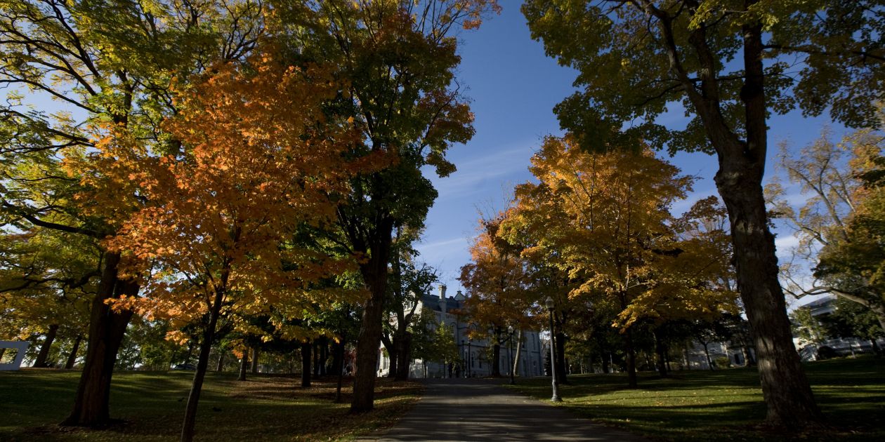 An image of fall on campus