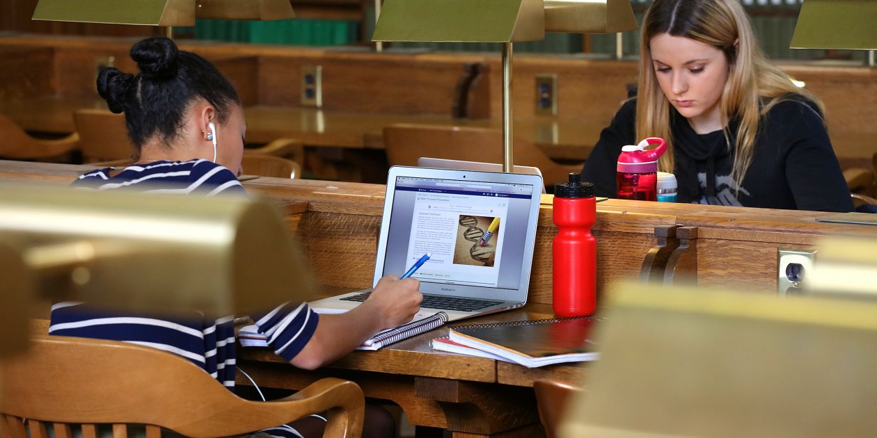 An image of students studying at Douglas Library