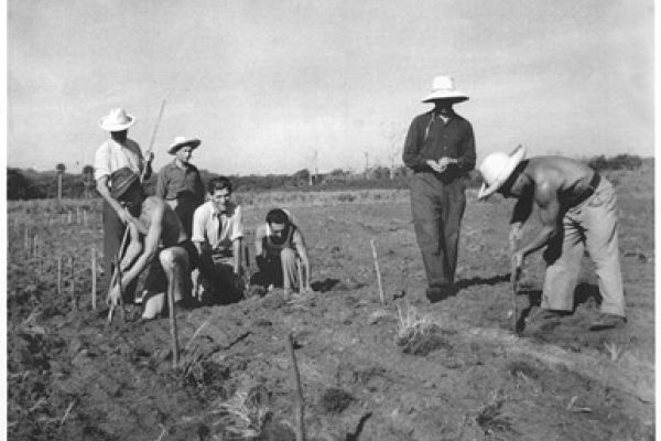 A black and white photograph of 7 men farming in an open field