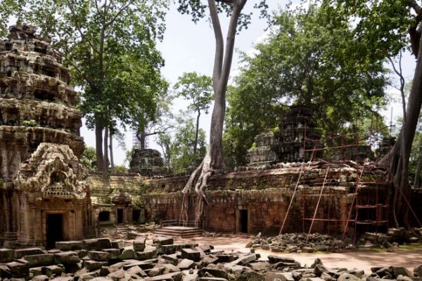 Global Indigenous Histories