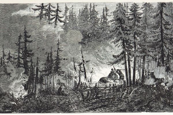 Image of black and white artwork showing a large forest fire
