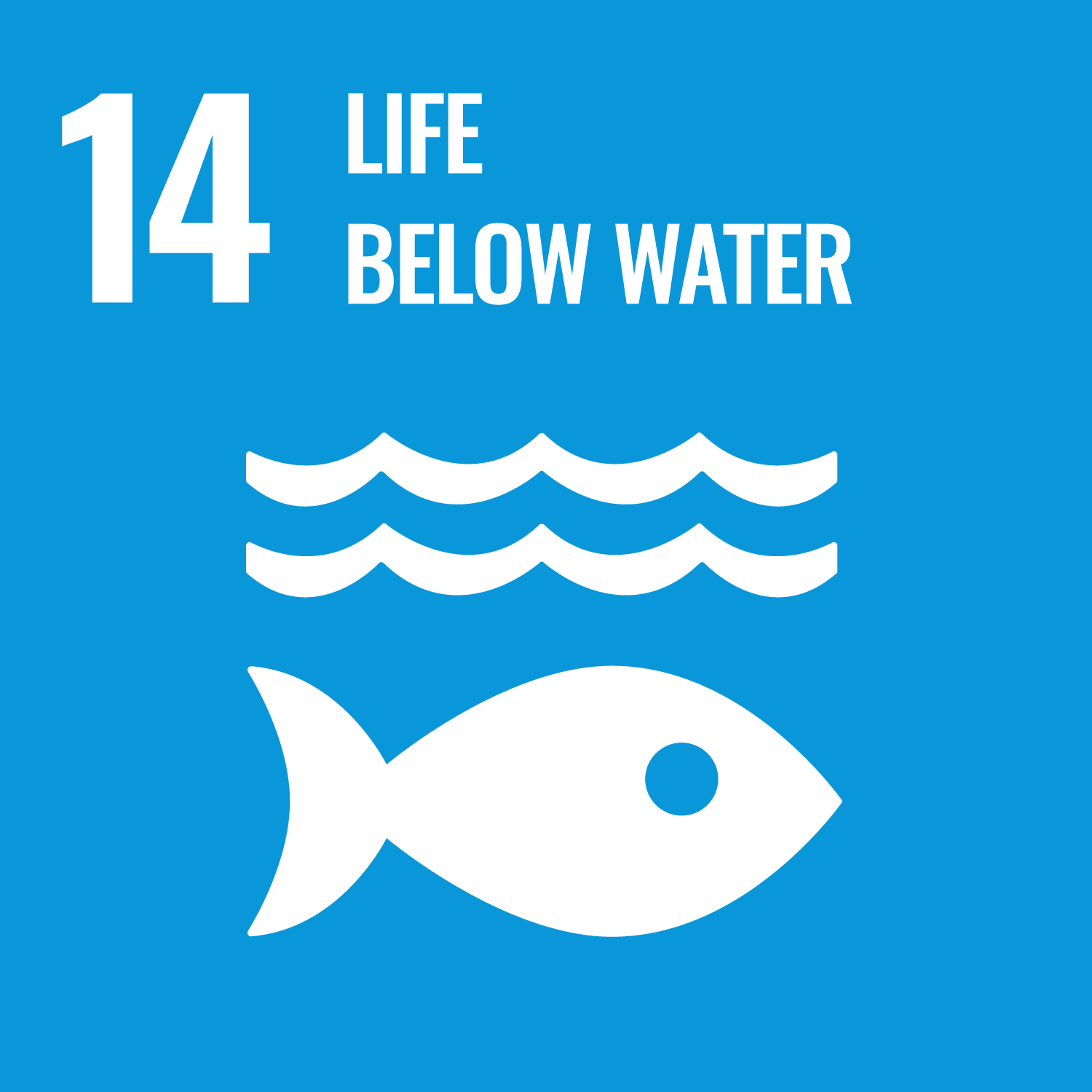 SDG 14 icon