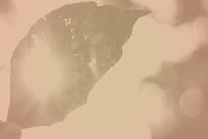 HREO Together We Are Thumbnail.