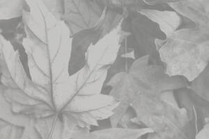 HREO Together We Are Thumbnail.