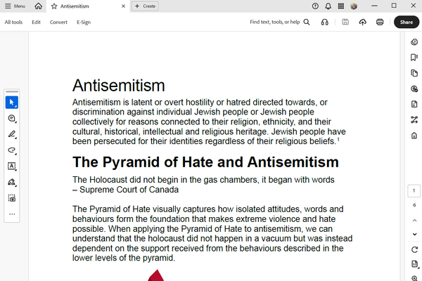 Screenshot of PDF document