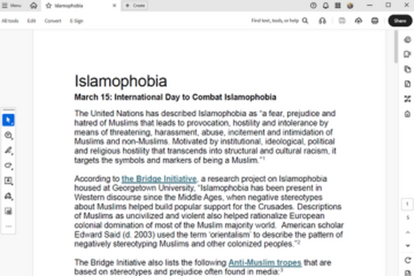 Screenshot of PDF document