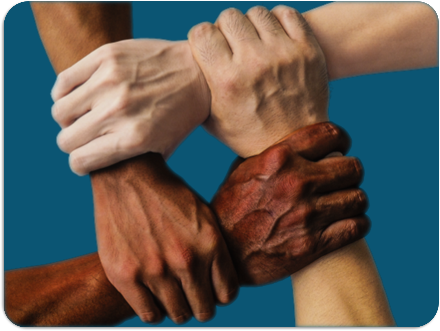Interlocking hands from different cultural backgrounds.