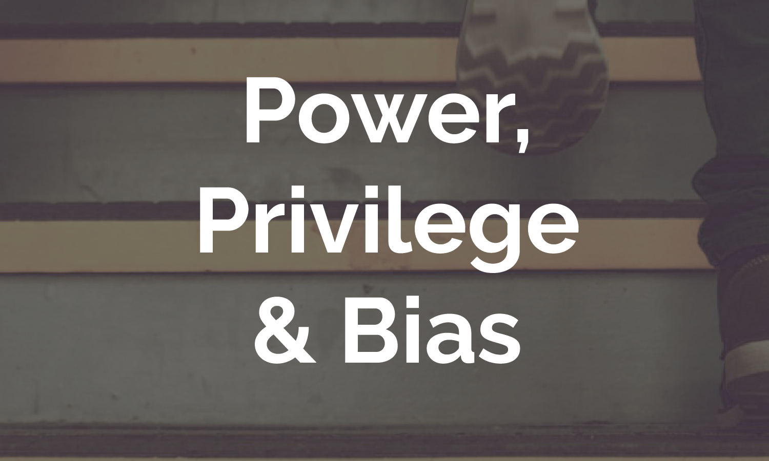 Access the Power, Privilege and Bias online module. 
