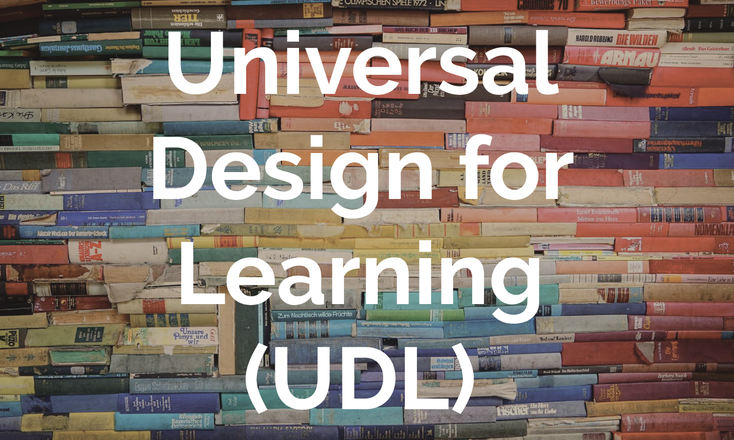Access the Universal Design for Learning (UDL) online module. 