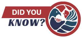 Did you know?