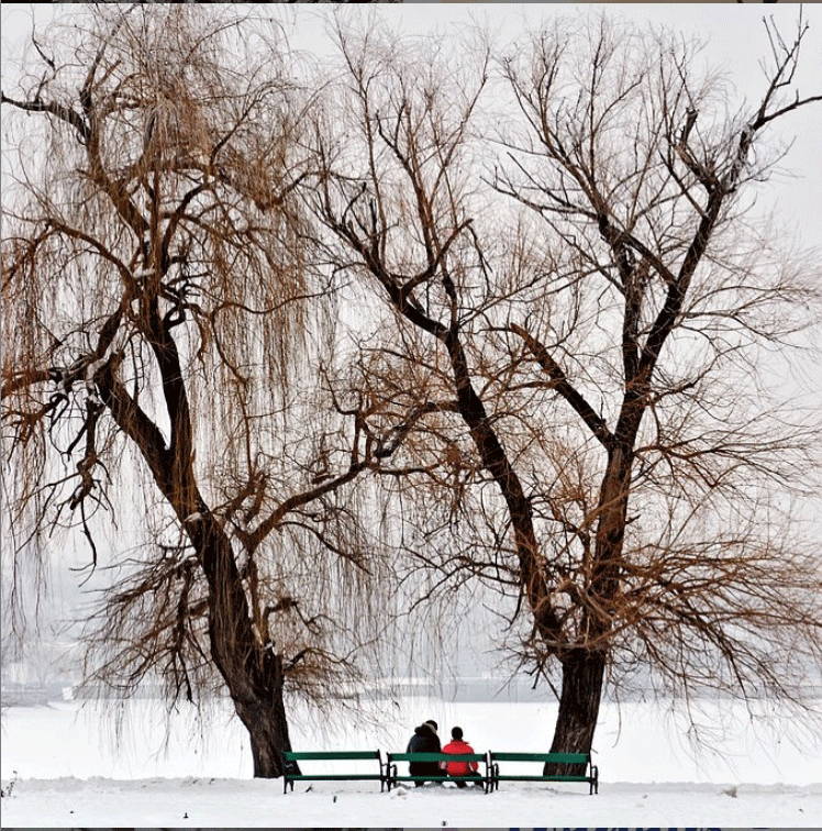 Winter outdoors image