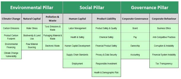 ESG Rating Subcategories