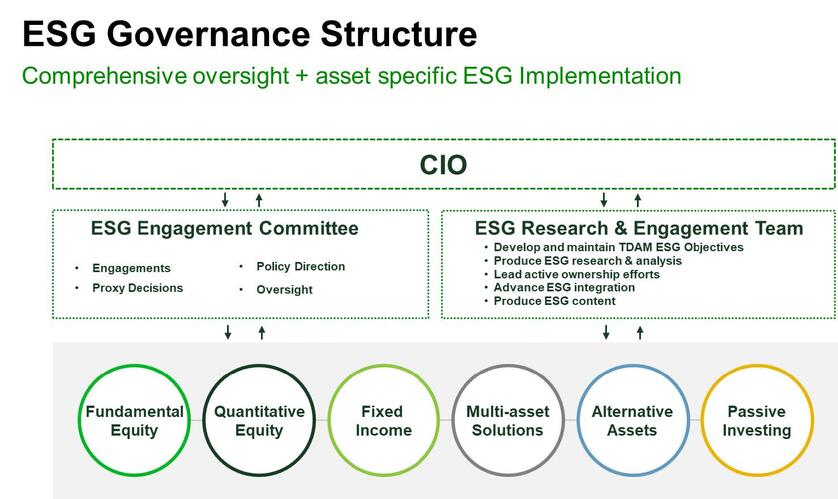 ESG Governance Structure