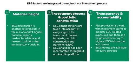 ESG factors integration