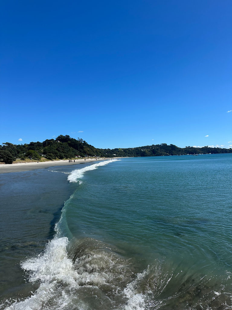 blue wave in front of beachy shore and blue sky