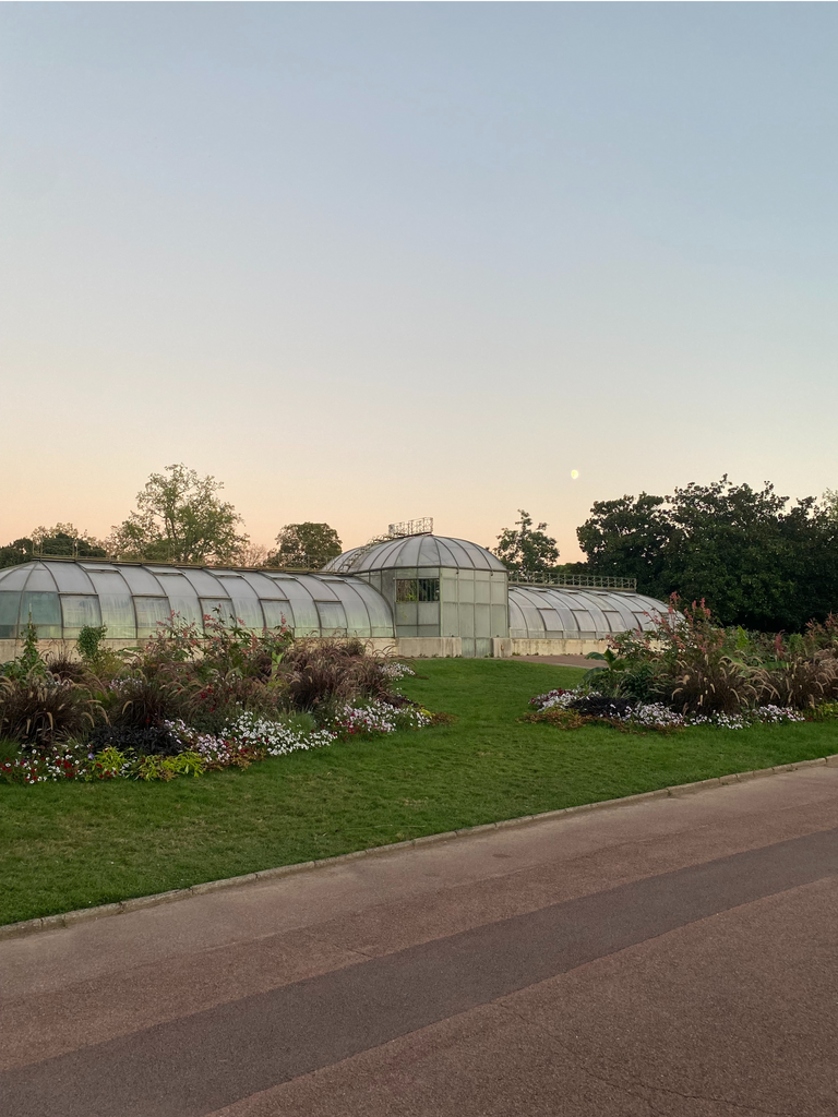 Exterior view of a greenhouse with greenery in front