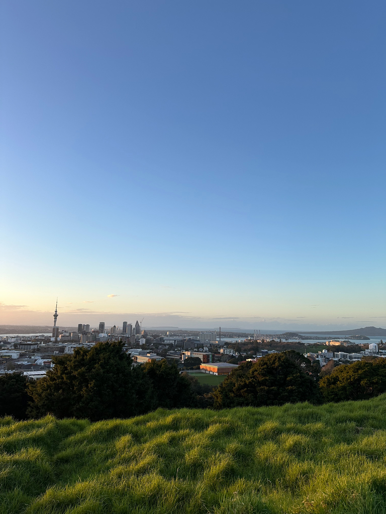 A grassy hill with a city in the distance