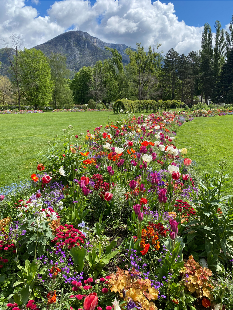 Flower beds in a lush green park with a mountain in the distance