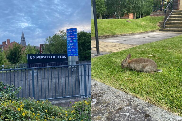 Campus life at the University of Leeds