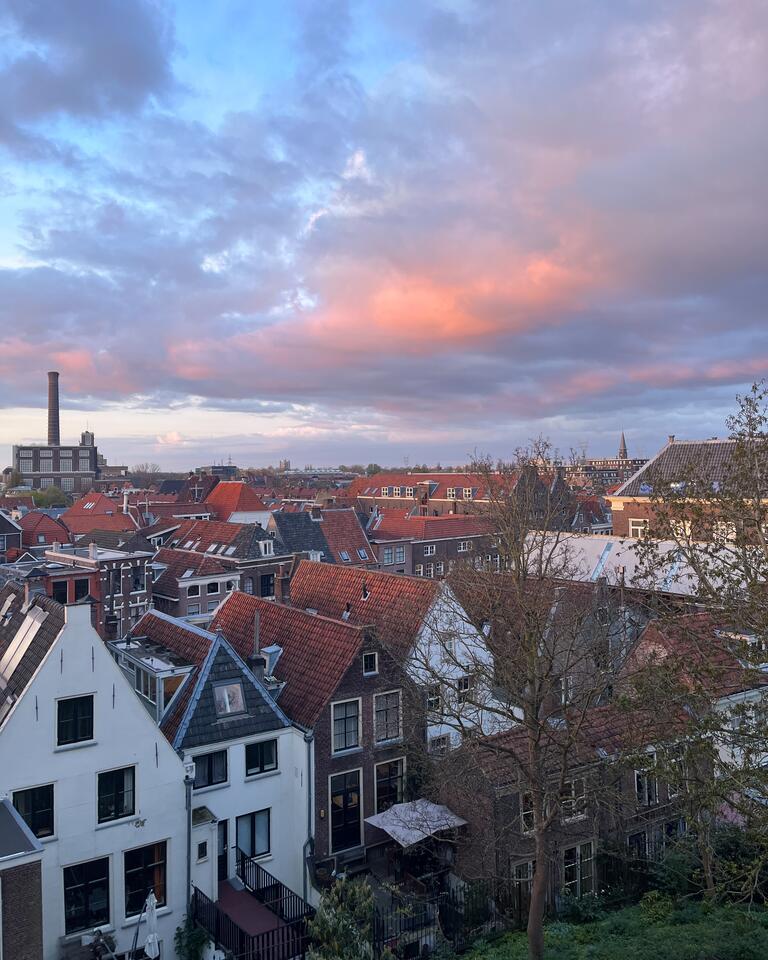 A view of Dutch rooftops with a pink sky