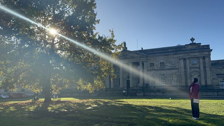 A view of an old building and a large tree