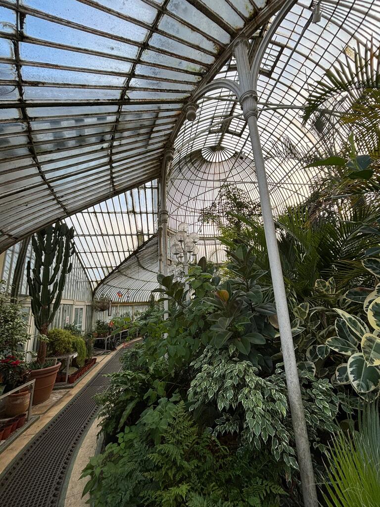 A green house with lush foliage